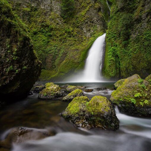 Wahclella Falls Hike Hidden Gem in Oregon