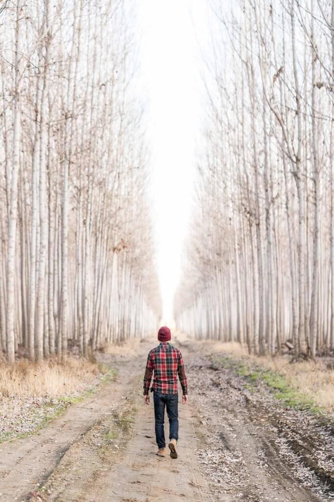 boardman tree farm oregon