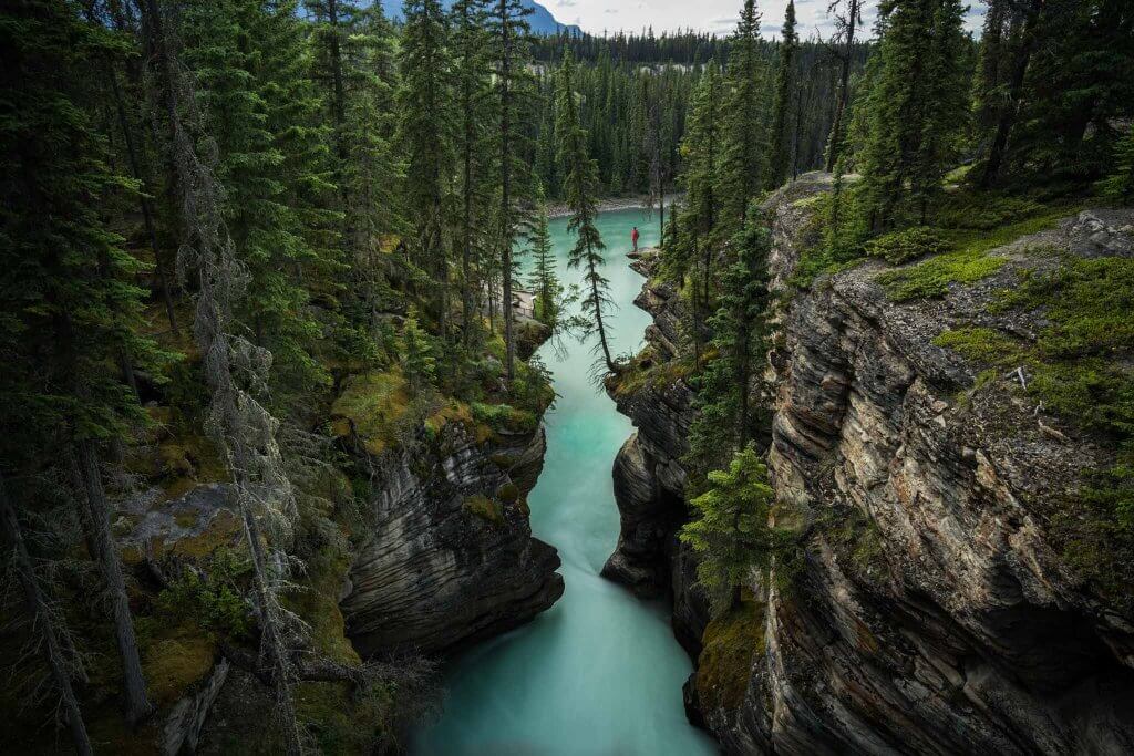 canyon in jasper national park