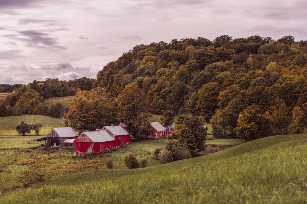jenne farm fall colors vermont