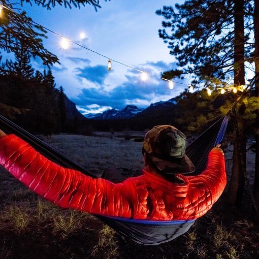 celebrating happy hammock day in a hammock in montana