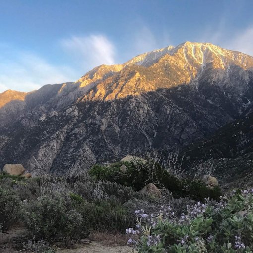mount san jacinto sunset snow cap