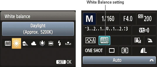 white-balance-camera-setting