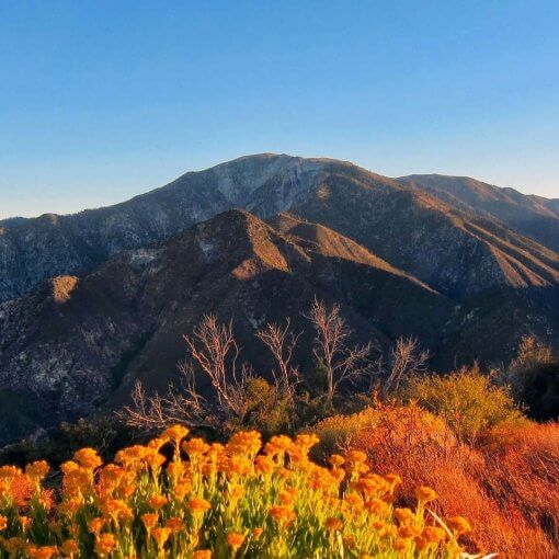 socal six pack hiking trails san gabriel mountains